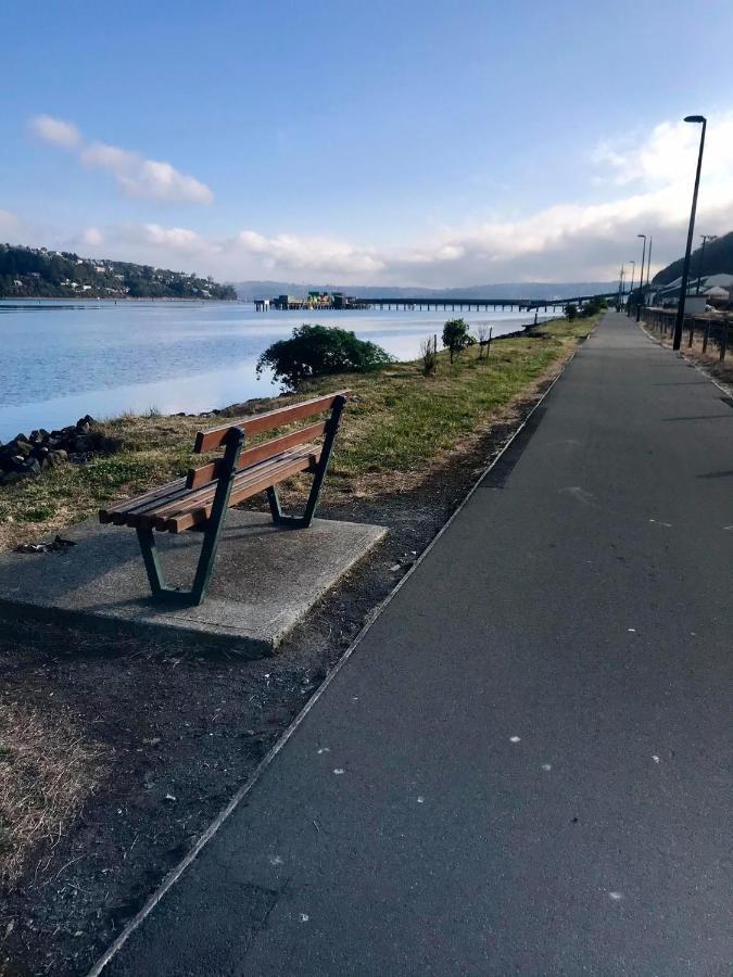 Harbour Side Views Vila Dunedin Exterior foto
